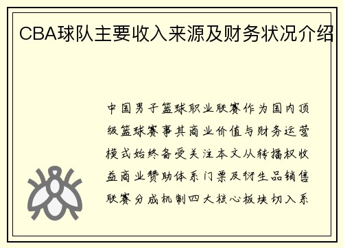 CBA球队主要收入来源及财务状况介绍